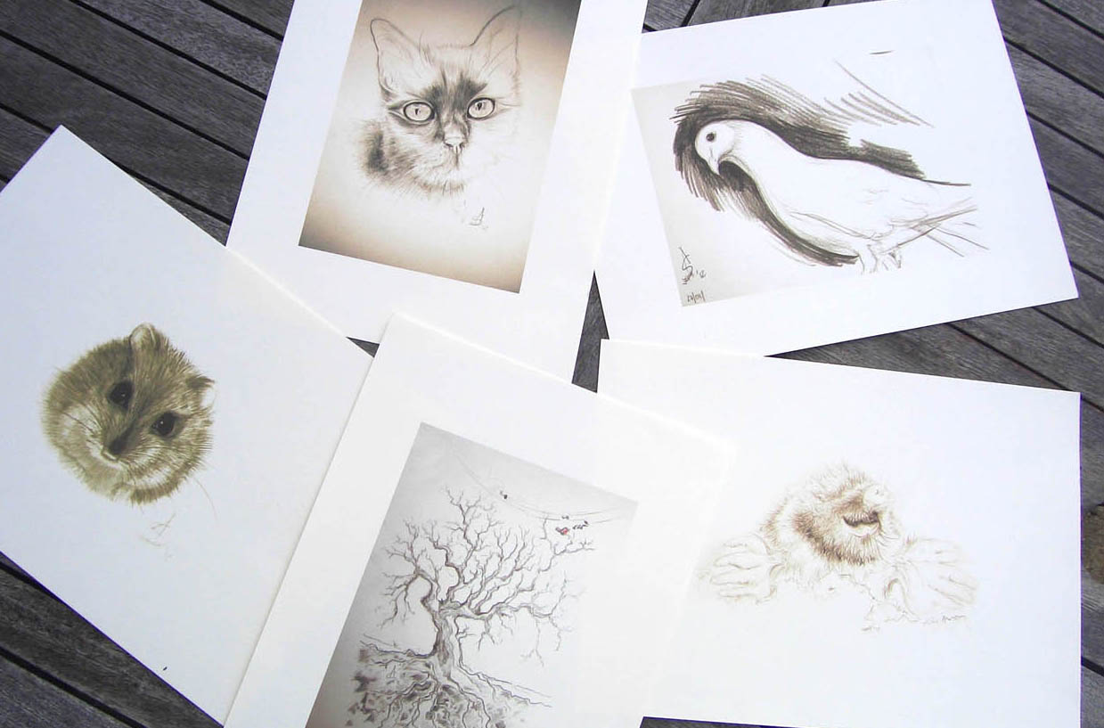 Sepia-Drucke, s. unten