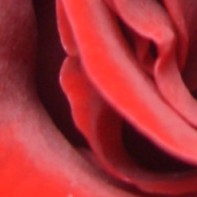 Meine Fotos des Tages