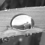 Motivgrusskarten - Traurige Anlässe