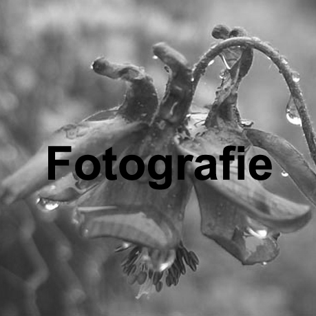 Fotografie