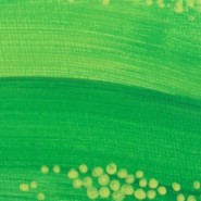 Grüne Hügel Detail 2