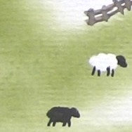 Schafhügel (32 x 24 cm)