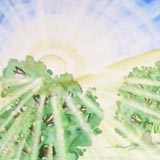 Strahlender Morgen (100 x 70 cm, Auftragsarbeit)