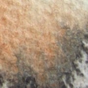 Waldlandschaft (8,5 x 6 cm)