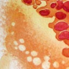 Wunschbaum (24 x 17 cm)