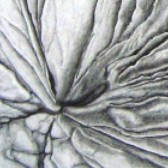 Walnuss (42 x 30 cm)