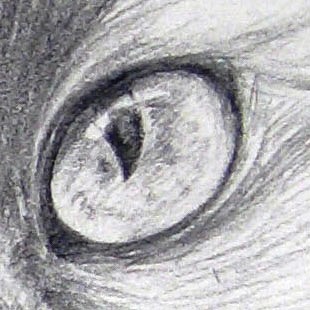 Skizze_Bleistift_Nicky