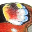 Tagpfauenauge (40 x 30 cm)