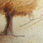 Aqua_Buntstift_Baum_2 (19 x 14 cm)