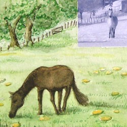 Frühling nach dem Winter