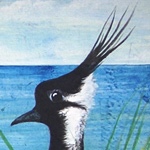 Schubladenbild Kueste