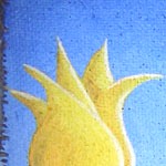 Schubladenbild Tulpen