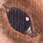 Detail 2