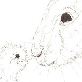 Tusche_Kueken_und_Hase.jpg
