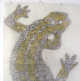 Entwurfskonzept Salamander